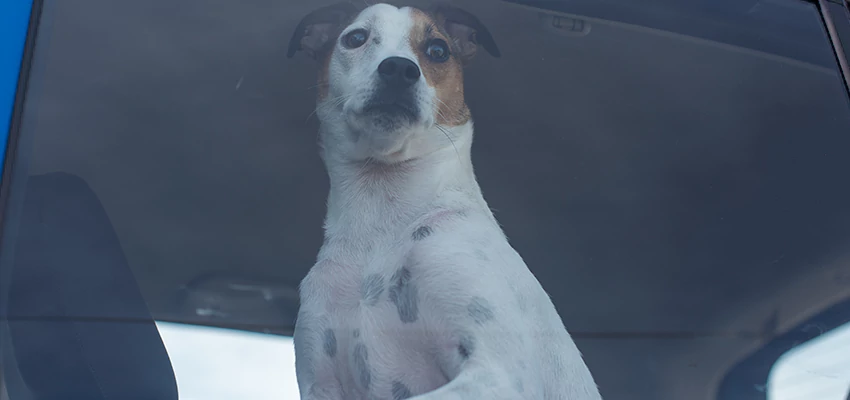 Car Lockout Solutions in Lakewood, California